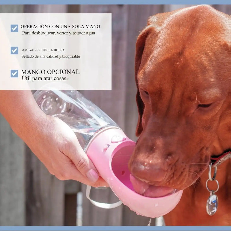 HidrataCan: Dispensador Portátil de Agua para Mascotas